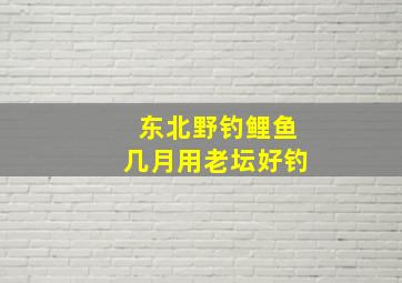 东北野钓鲤鱼几月用老坛好钓