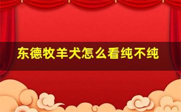 东德牧羊犬怎么看纯不纯