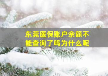 东莞医保账户余额不能查询了吗为什么呢