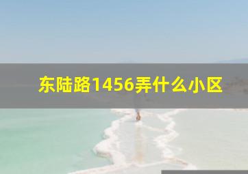 东陆路1456弄什么小区