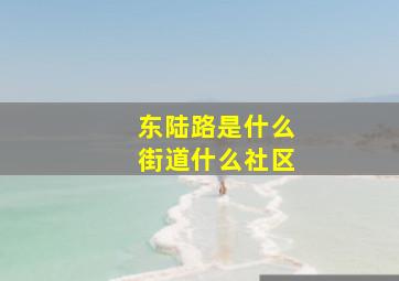 东陆路是什么街道什么社区