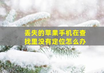 丢失的苹果手机在查找里没有定位怎么办