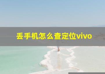 丢手机怎么查定位vivo