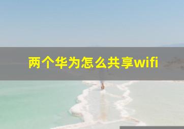 两个华为怎么共享wifi