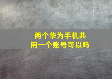 两个华为手机共用一个账号可以吗