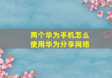 两个华为手机怎么使用华为分享网络