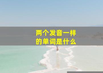 两个发音一样的单词是什么