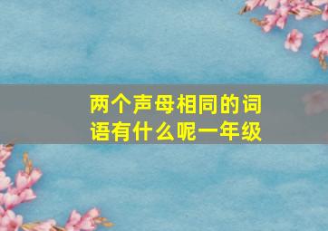 两个声母相同的词语有什么呢一年级