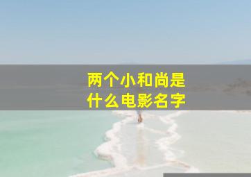 两个小和尚是什么电影名字