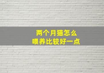 两个月猫怎么喂养比较好一点