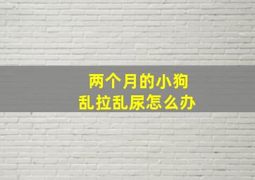 两个月的小狗乱拉乱尿怎么办