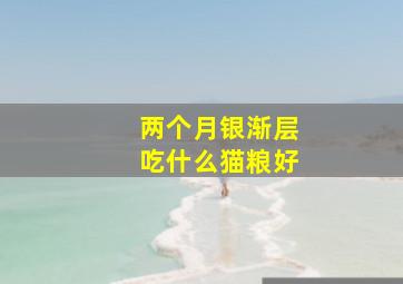 两个月银渐层吃什么猫粮好