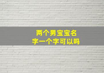 两个男宝宝名字一个字可以吗