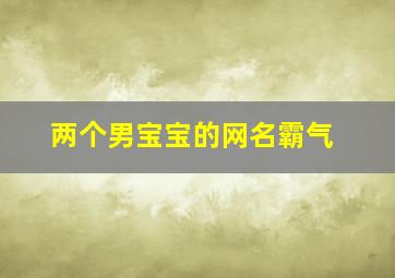 两个男宝宝的网名霸气