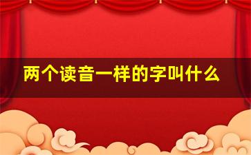 两个读音一样的字叫什么