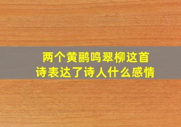 两个黄鹂鸣翠柳这首诗表达了诗人什么感情