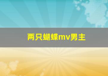 两只蝴蝶mv男主