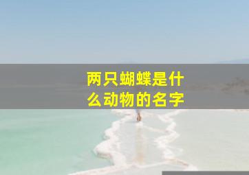 两只蝴蝶是什么动物的名字