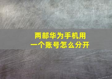 两部华为手机用一个账号怎么分开