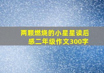 两颗燃烧的小星星读后感二年级作文300字