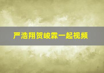 严浩翔贺峻霖一起视频