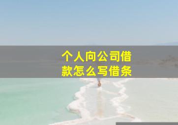 个人向公司借款怎么写借条