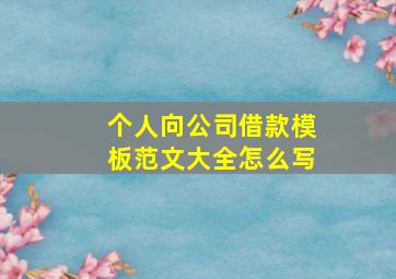 个人向公司借款模板范文大全怎么写