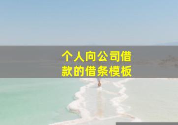 个人向公司借款的借条模板