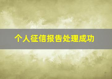 个人征信报告处理成功