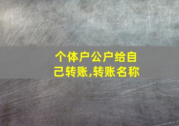 个体户公户给自己转账,转账名称