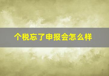 个税忘了申报会怎么样