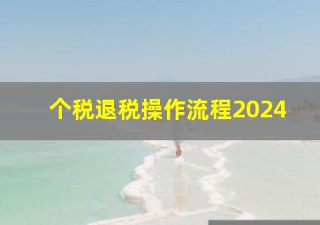 个税退税操作流程2024