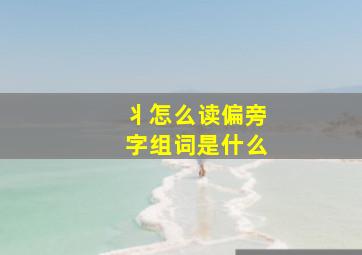 丬怎么读偏旁字组词是什么