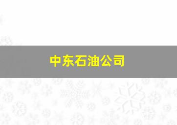 中东石油公司