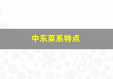 中东菜系特点