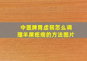 中医脾胃虚弱怎么调理羊屎疙瘩的方法图片