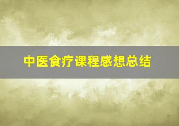 中医食疗课程感想总结