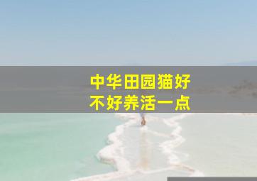 中华田园猫好不好养活一点