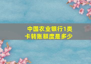 中国农业银行1类卡转账额度是多少