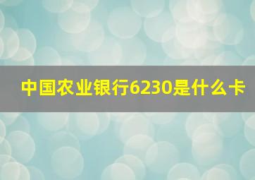 中国农业银行6230是什么卡