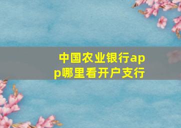 中国农业银行app哪里看开户支行