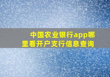 中国农业银行app哪里看开户支行信息查询