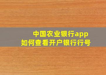 中国农业银行app如何查看开户银行行号