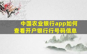 中国农业银行app如何查看开户银行行号码信息