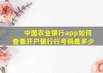 中国农业银行app如何查看开户银行行号码是多少