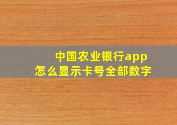 中国农业银行app怎么显示卡号全部数字