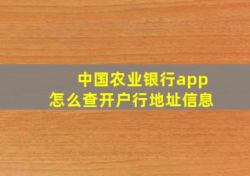 中国农业银行app怎么查开户行地址信息