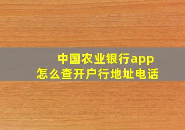 中国农业银行app怎么查开户行地址电话