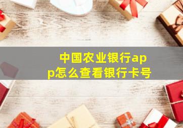 中国农业银行app怎么查看银行卡号