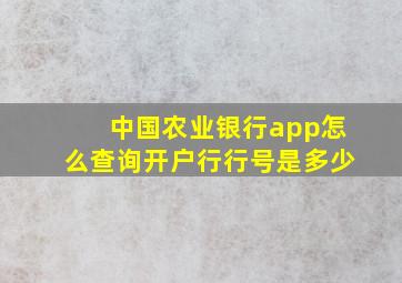 中国农业银行app怎么查询开户行行号是多少